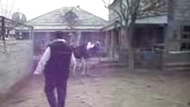 Таджикский предприниматель мечтает страусиной ферме смотреть онлайн