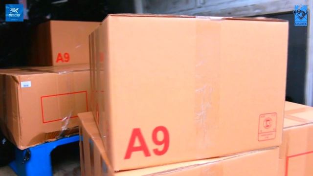 "ТУЛПАР": доставка и установка валидаторов в автобусах смотреть онлайн