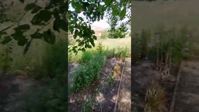 дом на берегу реки😊 смотреть онлайн