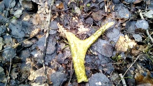 Поиск рогов . Старый рог лося . смотреть онлайн