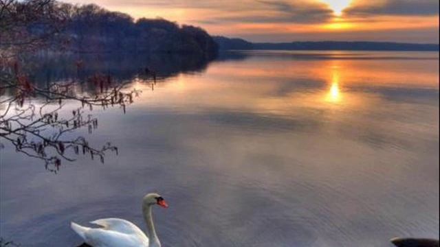 Лесоповал - Я куплю тебе дом смотреть онлайн