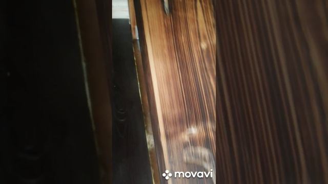 Жук Усач или Дровосек... смотреть онлайн