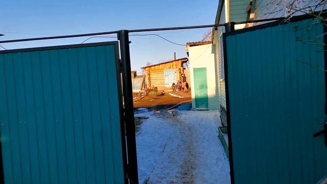 У Бабули Весело?/Прибрали Дрова, Убрали Мусор/Дядю Накажем?/17.04.21