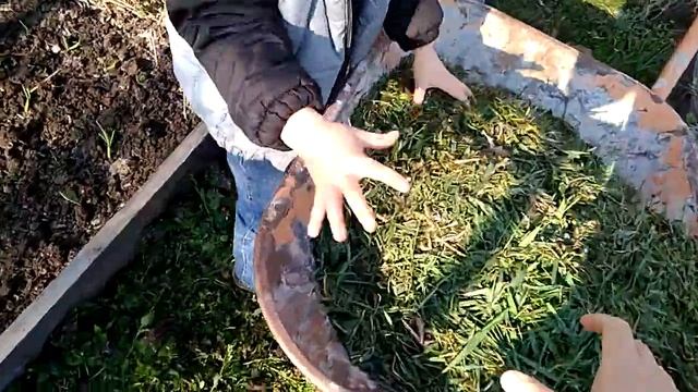 Мульчирую чеснок свежескошенной травой. 28 марта. смотреть онлайн