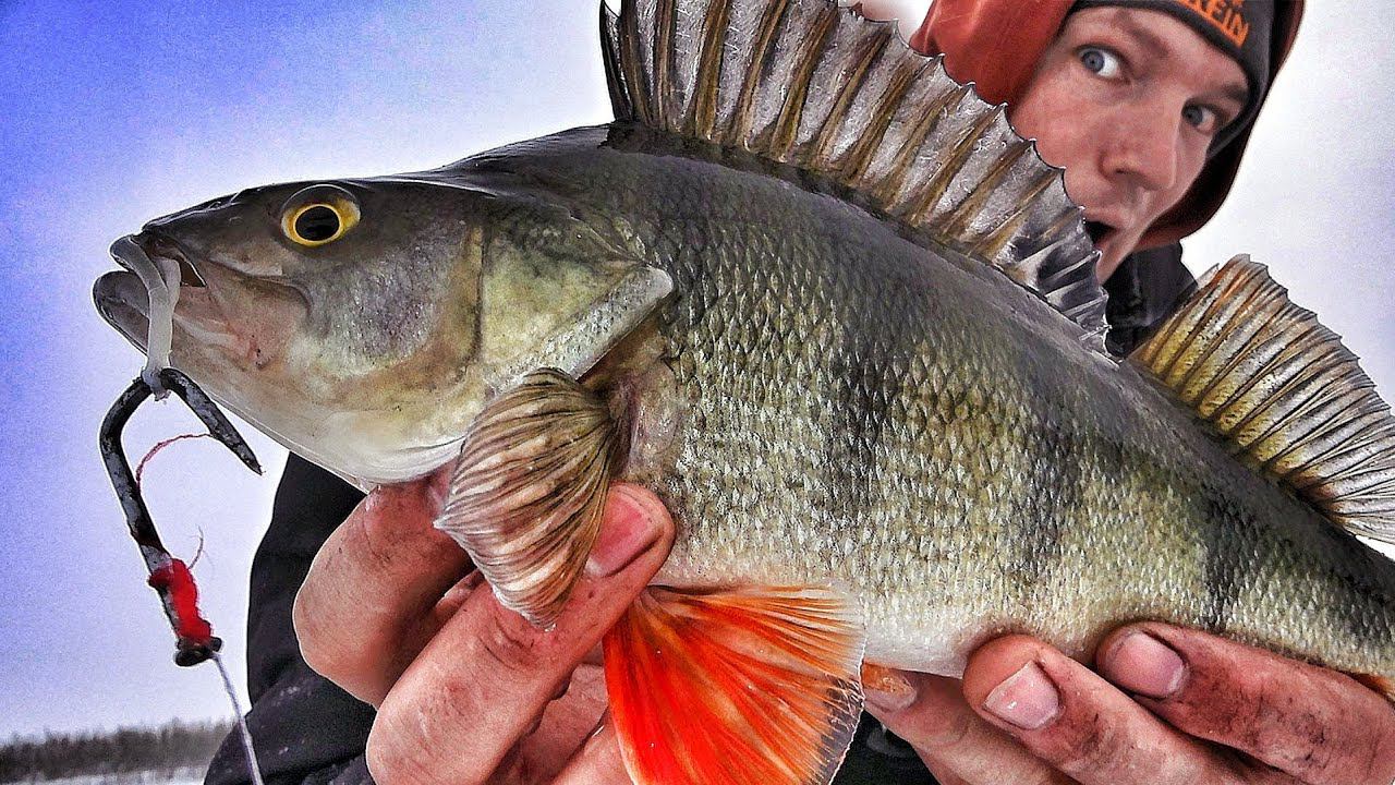 НА РЖАВЫЙ ГВОЗДЬ! ПЕРВЫЙ ЛЕД ЯКУТИЯ! НЕОПУБЛИКОВАННАЯ СЕРИЯ смотреть онлайн