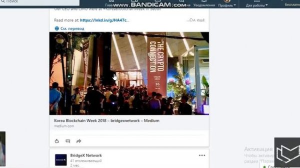 BridgeX Network - Telegram проекта и LinkedIn