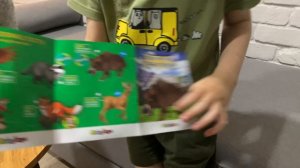 МИЦУКУРИНА, ЛЮТОВОЛК, КАБАН ОТ СБАБАМ!