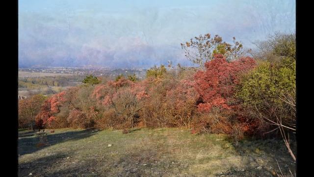 Осенние закаты смотреть онлайн