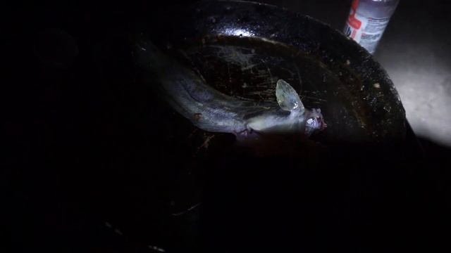 РОМАНТИКА!!! ОТДЫХ С БРАТОМ РАМЗАНОМ НА ИЛИ!!!И - 102 смотреть онлайн