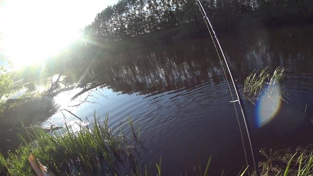 Вечерний спиннинг на реке Дон. смотреть онлайн