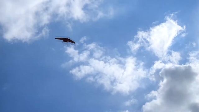 Городские технологии 2020 Беспилотные системы Supercam S250 смотреть онлайн
