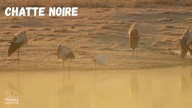 Проблема питьевой воды в мире смотреть онлайн
