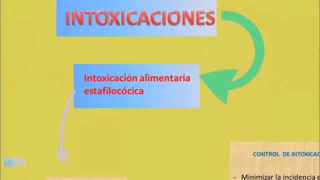 Micrococcaceae: Staphylococcus aureus смотреть онлайн