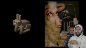 MOBS in REAL LIFE = CURSED (Minecraft)