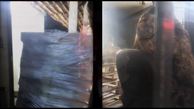 DiSa  Group - Продажа свежемороженой рыбы оптом