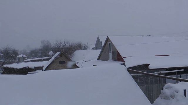 Голуби отдыхают смотреть онлайн