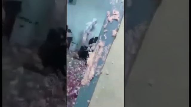 Запенил всех смотреть онлайн