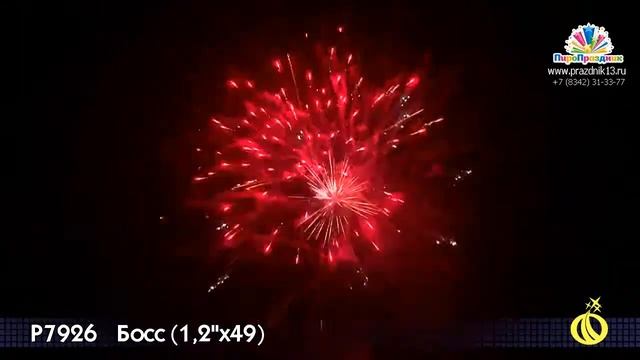 Р7926 БОСС смотреть онлайн