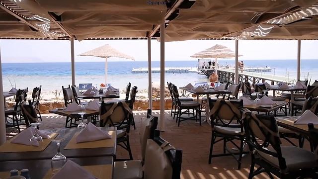 Domina Coral Bay, 2017 смотреть онлайн