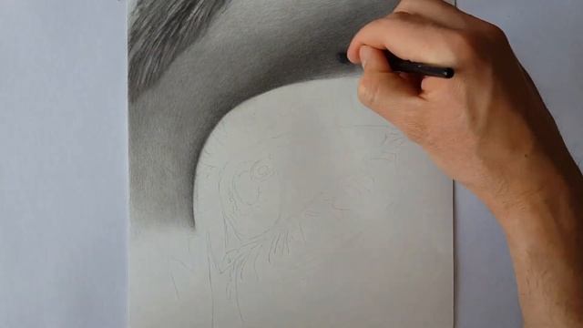 Pencil drawing of the eye,part 1\2.Рисунок карандашом глаза, часть 1\2 смотреть онлайн