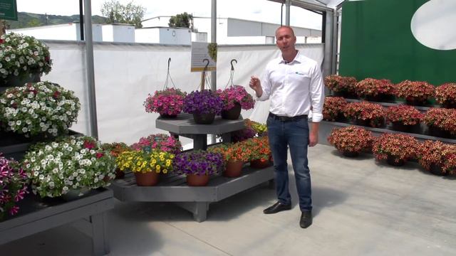 LIA™ Calibrachoa смотреть онлайн