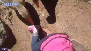 Смешные испуги людей 2022