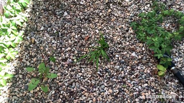 How Sandbaggy 8 oz Non Woven Filter Fabric Beats the Competition? Hint: It's Really Flippin Tough смотреть онлайн