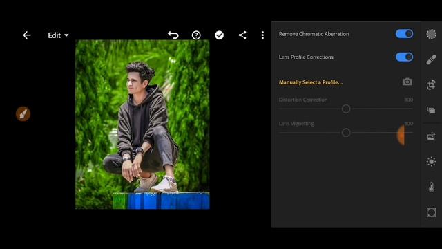 lightroom me kaise background blur editing Kare? ||how to edit background blur in lightroom смотреть онлайн