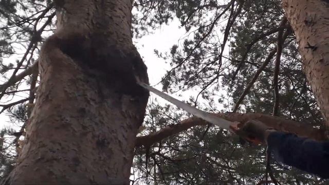 Больше не скрипит смотреть онлайн