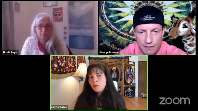 Rosy Aronson Interview - Wisdom Wheel of Integrity смотреть онлайн