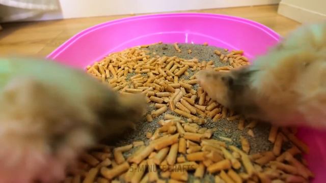 BEST PET GADGETS AND HACKS EVERY PET OWNER SHOULD KNOW