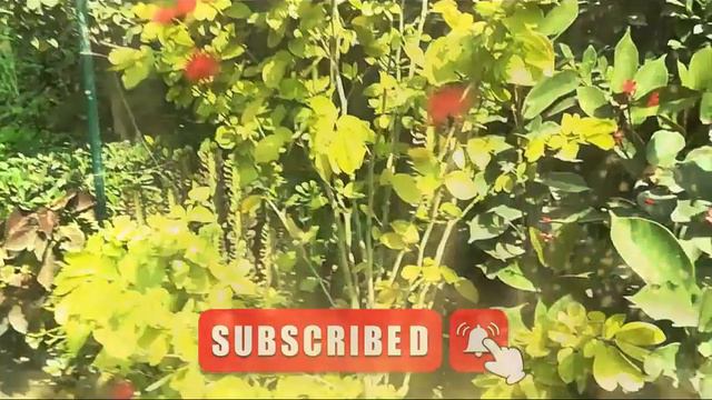 Bad end of usurer - Sood in Islam - Maut ka Manzar - Mufti Zarwali Khan Official смотреть онлайн