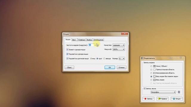 Инструкция по настройке и использованию программы FastStone Capture смотреть онлайн