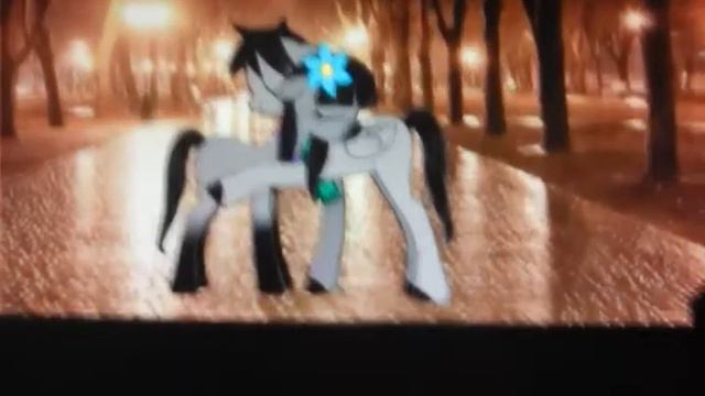 Песня Киса киса мяу мяу киса киса Мур мур