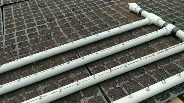 Вся правда про вакуумную самодельную чудо-сеялку смотреть онлайн