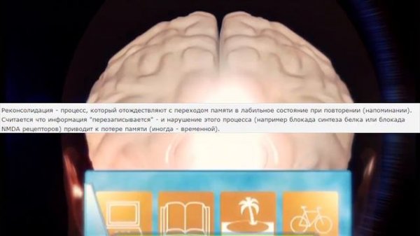 Потерять память людей (Амнезия)психология - психотерапевт