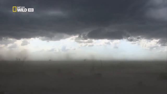 Грязные хишник смотреть онлайн