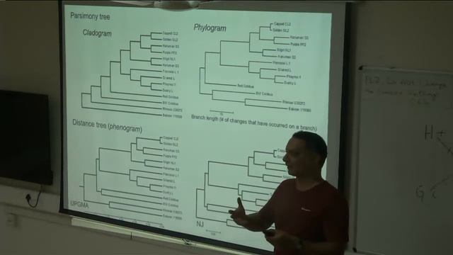 MPW2021 Day 2 parsimony and likelihood смотреть онлайн