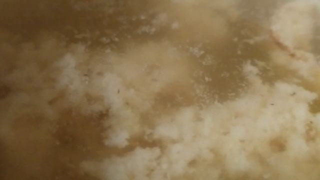 Сотворение мира в кружке...