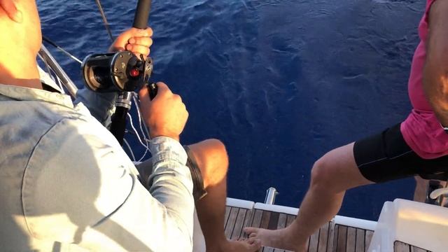 Рыбалка на ТУНЦА в Израиле. Ловля тунца троллингом смотреть онлайн