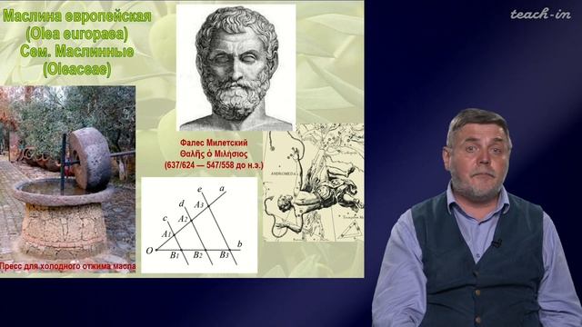 Чуб В.В. - Молекулы в пищевых цепях:от растений до человека - 8. Липиды смотреть онлайн