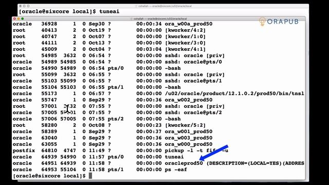 OraPub Oracle | How To Identify And Relate Client & Foreground Processes Using The "ps” Command смотреть онлайн