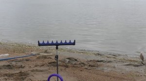 Рыбалка в Омске. Подлещик и ЯЗЬ на фидер. Классический фидер на Иртыше. MS Factor Мотыль — #OmskFis