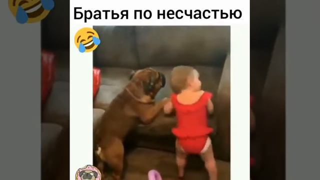 То чуство когда родители поставили слишком высокий диван смотреть онлайн