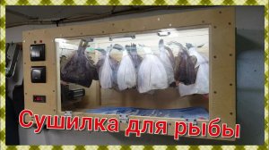 Сушилка для рыбы, овощей и грибов своими руками. Автоматическая, с регулировкой температуры.