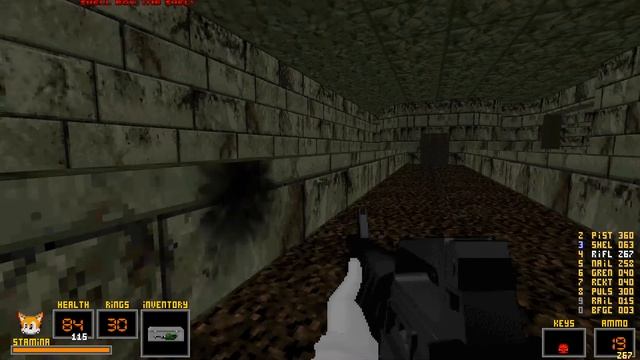 Mobian Combat TC Doom mod - Doom 1 Episode 4 highest difficulty playthrough смотреть онлайн