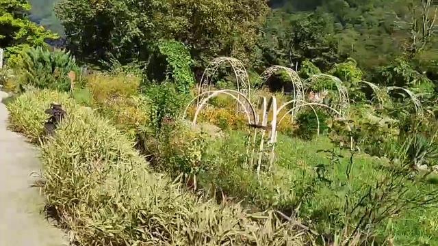 Озеро Рица.Юпшарский каньон.Реки Юпшара и Бзыбь. смотреть онлайн