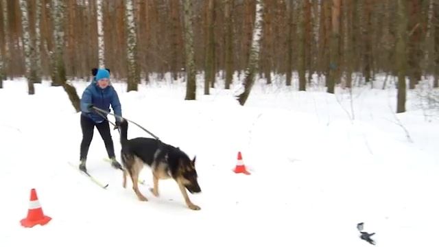 Буксировка лыжника