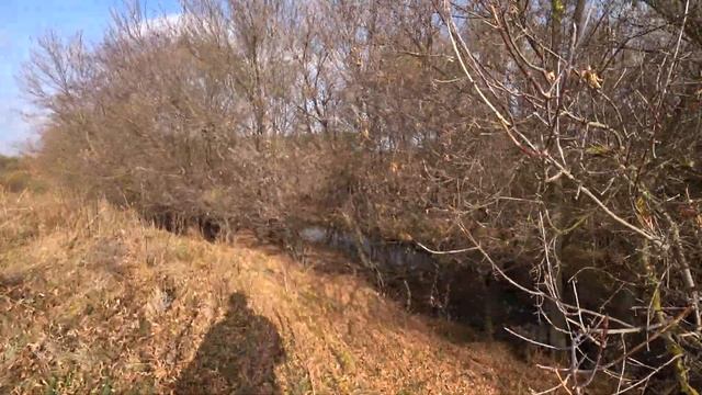 ПОЕЗДКА НА ТАЙНУЮ РЕЧКУ! БОЛОТО ВЫСОХЛО! ПРОТОКИ НЕТ! смотреть онлайн