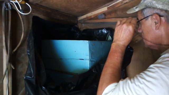 По совету пасечника, - как уберечься от восковой моли? смотреть онлайн